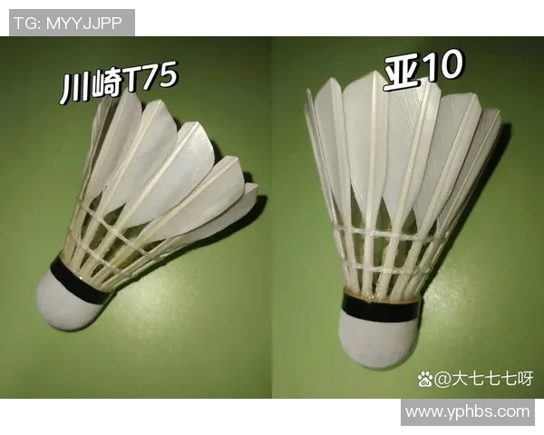 羽毛球装备选购指南：必备训练器材与推荐品牌详解