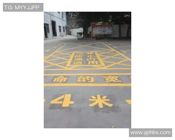 重庆排球队创新高排球配合排名再创佳绩引发关注