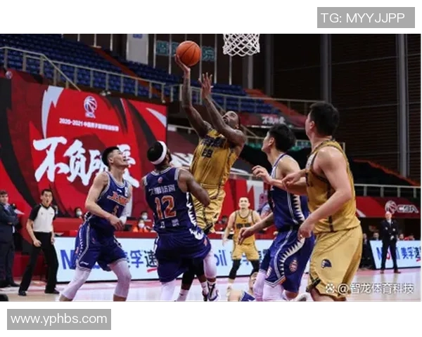 西安篮球队实力解析与发展潜力探讨聚焦篮球运动的未来之路